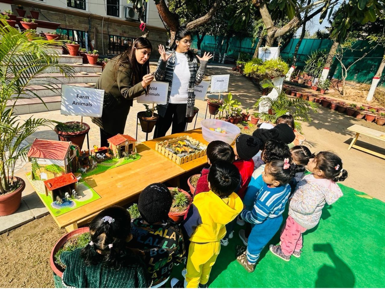 Learning beyond books - Toddlers classifying animals